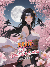 火影之花舞人间 封面