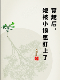 穿越后,她被小狼崽盯上了 封面