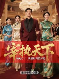 宰执天下:从基层科员开始 封面