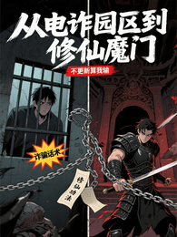 从电诈园区到修仙魔门 封面