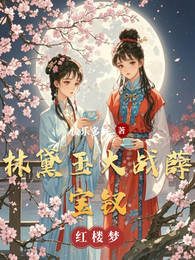 林黛玉大战薛宝钗 封面