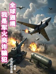 我是军火商诈骗犯全球通缉 封面