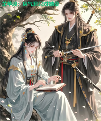 芷芊渡 封面
