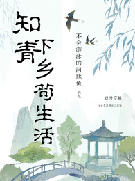 知青下乡苟生活 封面