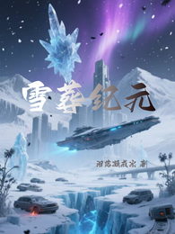 雪葬纪元 封面