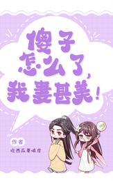 女扮男装：傻子怎么了，我妻甚美 封面