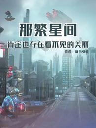 那繁星间肯定也存在看不见的美丽 封面