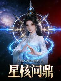 星核问鼎:修仙录 封面