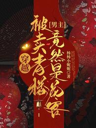 穿越被卖青楼，男主竟然是花客 封面