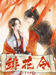 绯花令 封面