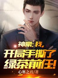 神豪：我，开局手撕了绿茶前任！ 封面