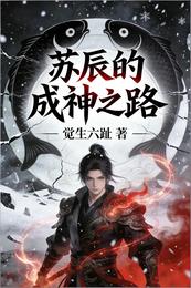苏辰的成神之路 封面