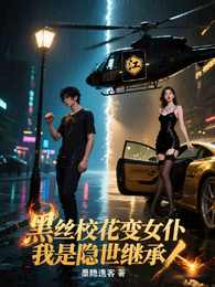 黑丝校花变女仆，我是隐世继承人 封面