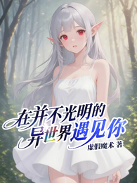 在并不光明的异世界遇见你 封面