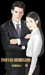 我的老婆是冷艳总裁 封面