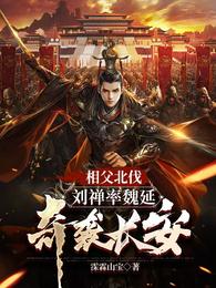 相父北伐,刘禅率魏延奇袭长安 封面