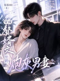 穿成赘婿文里的炮灰男妻 封面