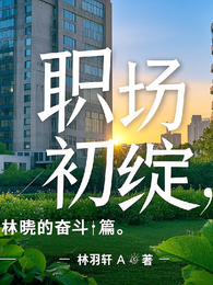 职场初绽:林晓的奋斗篇 封面