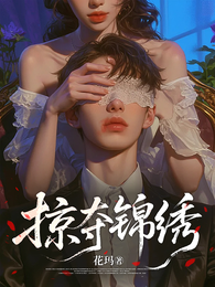 掠夺锦绣 封面