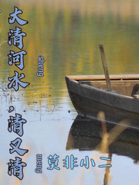 大清河水，清又清 封面