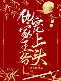 仇家王爷宠上头 封面