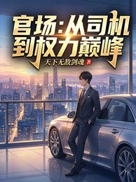 官场:从司机到权力巅峰 封面