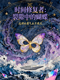 时间修复者：裂隙中的蝴蝶 封面