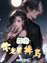 冷少你老婆掉马了 封面