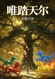 唯踏天尔 封面