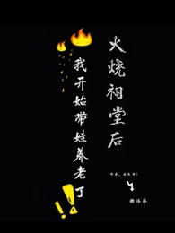 火烧祠堂后,我开始带娃养老了 封面