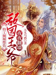 特工倾城绝色，敌国王爷夜夜翻墙 封面