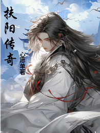 扶阳传奇 封面