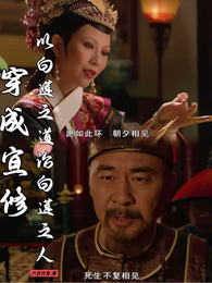 穿成宜修:以白莲之道治白莲之人 封面