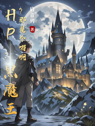 HP：黑魔王？那是个嘚啊 封面