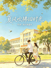 夏风吹拂旧时光 封面