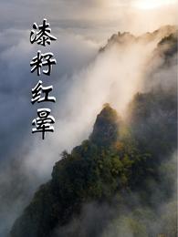 漆籽红晕 封面