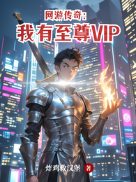 网游传奇：我有至尊VIP 封面