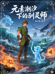 元素潮汐下的驯灵师 封面