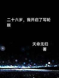 26岁,我开启了写轮眼 封面