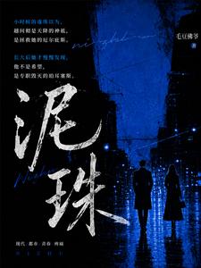 泥珠 封面