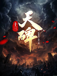 十三天碑 封面
