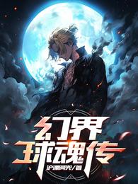 幻界球魂传 封面