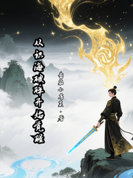 从识海破碎开始觉醒 封面