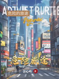 危险旅途 封面