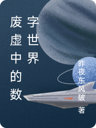 废虚中的数字世界 封面