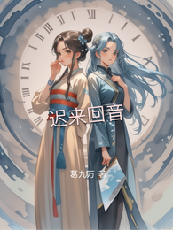 迟来回音 封面