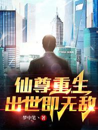 仙尊重生，出世即无敌 封面