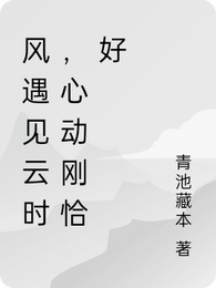 风遇见云时,心动刚恰好 封面