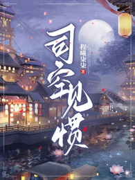 司空见惯 封面