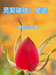灵契破晓:星途 封面